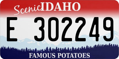 ID license plate E302249