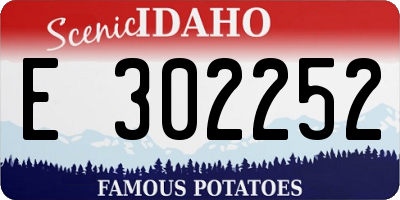 ID license plate E302252