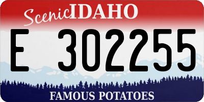ID license plate E302255