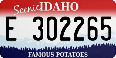 ID license plate E302265