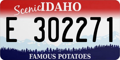 ID license plate E302271