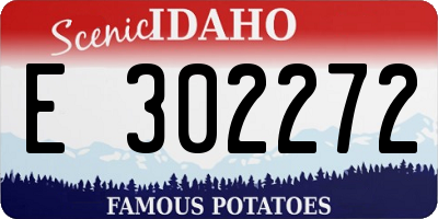 ID license plate E302272