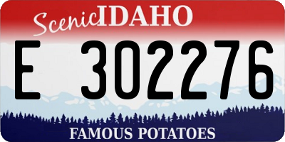ID license plate E302276