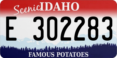 ID license plate E302283