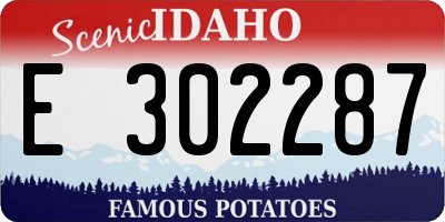 ID license plate E302287