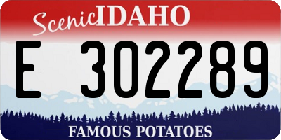 ID license plate E302289
