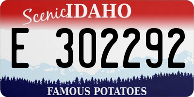 ID license plate E302292