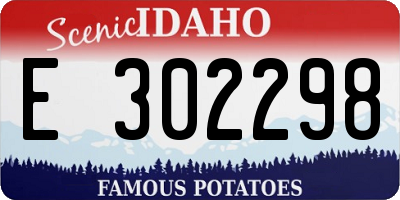 ID license plate E302298