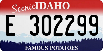 ID license plate E302299