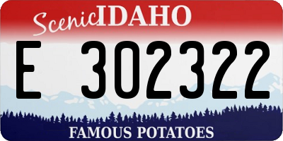 ID license plate E302322