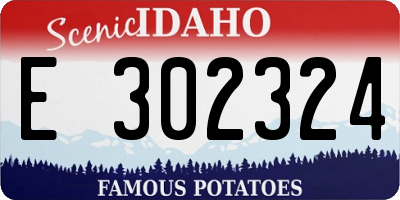 ID license plate E302324