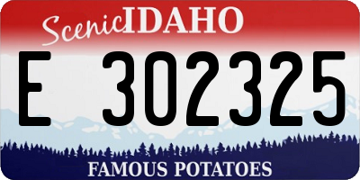 ID license plate E302325