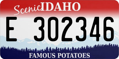 ID license plate E302346
