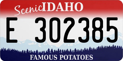 ID license plate E302385