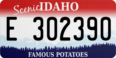 ID license plate E302390
