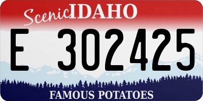 ID license plate E302425