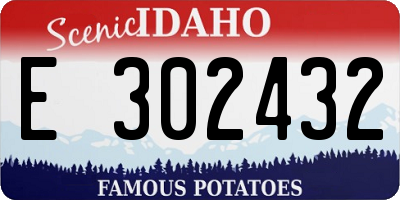 ID license plate E302432