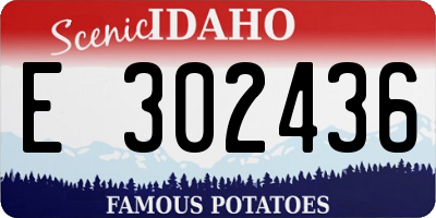 ID license plate E302436
