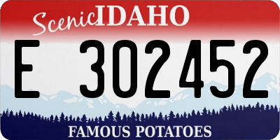ID license plate E302452