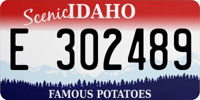 ID license plate E302489