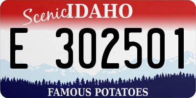 ID license plate E302501