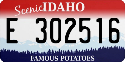 ID license plate E302516