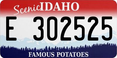ID license plate E302525