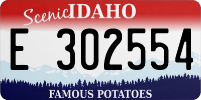 ID license plate E302554