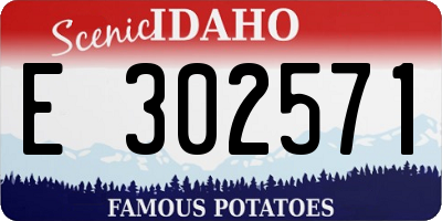 ID license plate E302571