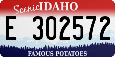 ID license plate E302572