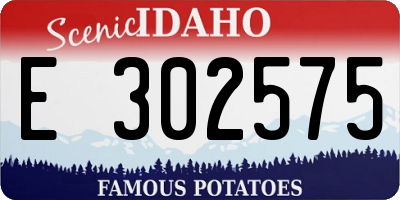 ID license plate E302575