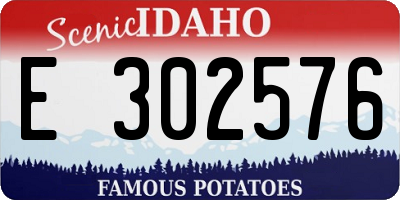 ID license plate E302576