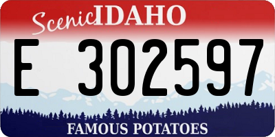 ID license plate E302597
