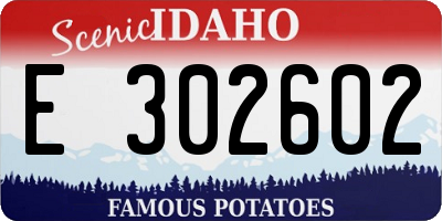 ID license plate E302602