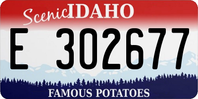 ID license plate E302677