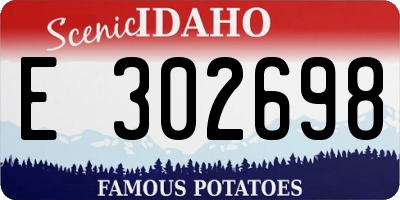 ID license plate E302698