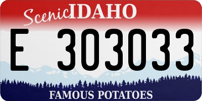 ID license plate E303033