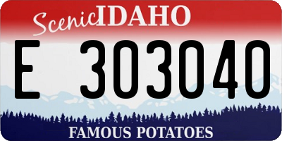 ID license plate E303040