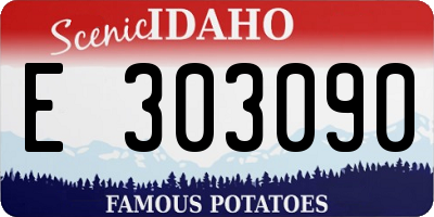 ID license plate E303090