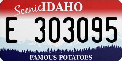 ID license plate E303095