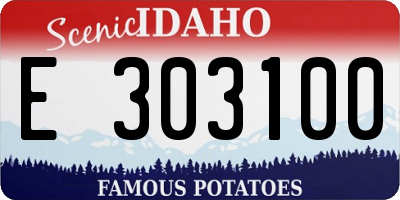 ID license plate E303100