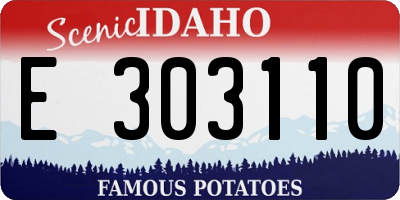 ID license plate E303110