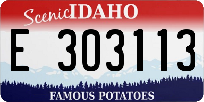 ID license plate E303113