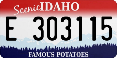 ID license plate E303115