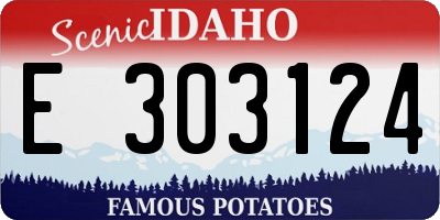 ID license plate E303124