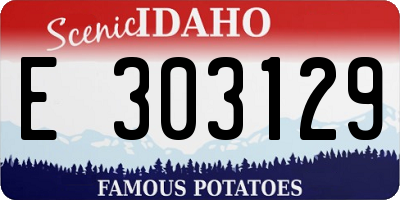 ID license plate E303129
