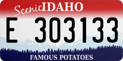 ID license plate E303133
