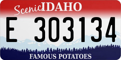 ID license plate E303134