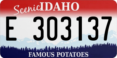 ID license plate E303137