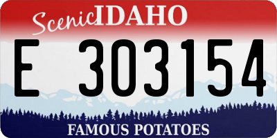 ID license plate E303154